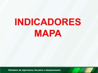 INDICADORES
MAPA
 