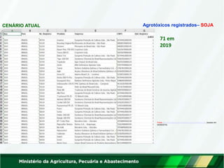 Agrotóxicos registrados– SOJA
CENÁRIO ATUAL
Fonte:http://indicadores.agricultura.gov.br/agrofit/index.htm (acesso em
24/06/2019)
71 em
2019
 