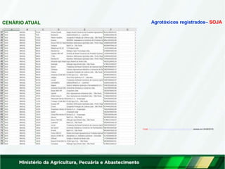 CENÁRIO ATUAL
Fonte: http://indicadores.agricultura.gov.br/agrofit/index.htm (acesso em 24/06/2019)
Agrotóxicos registrados– SOJA
 