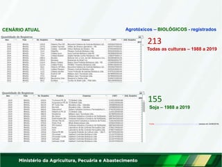 Agrotóxicos – BIOLÓGICOS - registrados
CENÁRIO ATUAL
213
Todas as culturas – 1988 a 2019
Fonte: http://indicadores.agricultura.gov.br/agrofit/index.htm (acesso em 24/06/2019)
155
Soja – 1988 a 2019
 