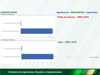 CENÁRIO ATUAL
Todas as culturas – 1988 a 2019
Soja – 1988 a 2019
Fonte: http://indicadores.agricultura.gov.br/agrofit/index.htm (acesso em 24/06/2019)
Agrotóxicos – BIOLÓGICOS - registrados
 