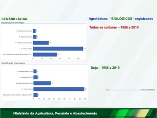 CENÁRIO ATUAL
Todas as culturas – 1988 a 2019
Soja – 1988 a 2019
Fonte: http://indicadores.agricultura.gov.br/agrofit/index.htm (acesso em 24/06/2019)
Agrotóxicos – BIOLÓGICOS - registrados
 