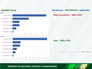 CENÁRIO ATUAL
Todas as culturas – 1988 a 2019
Soja – 1988 a 2019
Fonte: http://indicadores.agricultura.gov.br/agrofit/index.htm (acesso em 24/06/2019)
Agrotóxicos – BIOLÓGICOS - registrados
 