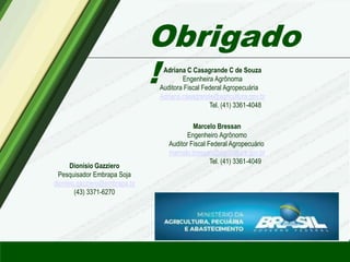 Obrigado
!
Dionísio Gazziero
Pesquisador Embrapa Soja
dionisio.gazziero@embrapa.br
(43) 3371-6270
Adriana C Casagrande C de Souza
Engenheira Agrônoma
Auditora Fiscal Federal Agropecuária
Adriana.casagrande@agricultura.gov.br
Tel. (41) 3361-4048
Marcelo Bressan
Engenheiro Agrônomo
Auditor Fiscal Federal Agropecuário
marcelo.bressan@agricultura.gov.br
Tel. (41) 3361-4049
 
