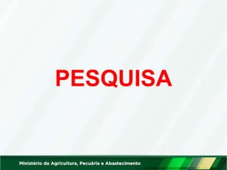 PESQUISA
 