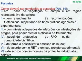 IN 36/09
Pesquisa
Como deverá ser conduzida a pesquisa (Art. 14):
I.- em casa de vegetação ou campo e em região
representativa da cultura;
II.– em atendimento às recomendações
fitotécnicas, respeitando as boas práticas agrícolas e
experimentais;
III.– com níveis adequados de infecções ou infestações de
pragas, para poder atestar a eficácia do tratamento;
IV.– seguindo protocolos da FAO ou da
comunidade científica;
V.– de forma a possibilitar a emissão do laudo;
VI.– de acordo com o RET e em seu projeto experimental;
VII - de acordo com as normas de proteção individual e
coletiva.
 