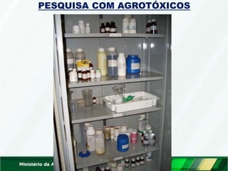 PESQUISA COM AGROTÓXICOS
 