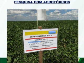 PESQUISA COM AGROTÓXICOS
 