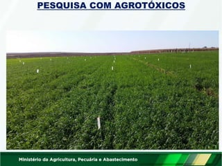 PESQUISA COM AGROTÓXICOS
 