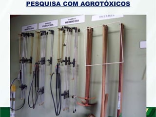 PESQUISA COM AGROTÓXICOS
 