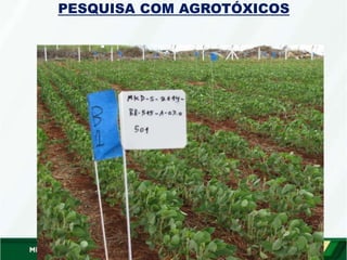 PESQUISA COM AGROTÓXICOS
 