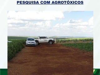 aqu
i
PESQUISA COM AGROTÓXICOS
 