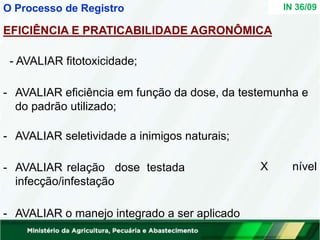 EFICIÊNCIA E PRATICABILIDADE AGRONÔMICA
- AVALIAR fitotoxicidade;
- AVALIAR eficiência em função da dose, da testemunha e
do padrão utilizado;
X nível
- AVALIAR seletividade a inimigos naturais;
- AVALIAR relação dose testada
infecção/infestação
- AVALIAR o manejo integrado a ser aplicado
IN 36/09
O Processo de Registro
 