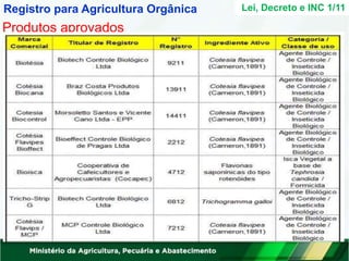 Lei, Decreto e INC 1/11
Registro para Agricultura Orgânica
Produtos aprovados
 