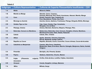 Tabela 2
Subgrupo Cultura Representativa Culturas de Suporte Fitossanitário Insuficiente – CSFI
1 A Melão Melancia, Melão
1 B Mamão ou Manga Abacate, Cacau, Cupuaçu,
Guaraná, Maracujá, Kiwi, Romã, Anonáceas, Abacaxi, Mamão, Manga
1 C Coco Dendê, Pupunha, Açaí, Castanha do
Pará, Macadâmia, Pinhão, Noz Pecã.
2 A Morango ou Acerola Acerola, Amora, Azeitona, Framboesa, Pitanga, Siriguela, Mirtilo, Morango
2 B Goiaba, Figo ou Uva Caju, Caqui, Goiaba, Figo, Carambola,
Mangaba, Uva de Mesa
2 C Pêssego, Ameixa Ameixa, Marmelo, Nectarina, Nêspera, Pêssego, Pêra.
3 A Beterraba, Cenoura ou Mandioca, Batata doce, Beterraba, Cará, Cenoura, Gengibre, Inhame, Mandioca,
Mandioquinha-salsa, Nabo, Batata, Rabanete
3 B Cebola Cebola, Alho, Chalota
4 A Alface Agrião, Almeirão, Chicórea, Espinafre,
Rúcula, Mostarda, Acelga, Estévia
4 B Repolho ou Couve Repolho, Brócolis, Couve, Couve-flor, Couve chinesa, Couve-de-bruxelas
4 C Cebolinha ou Manjericão Coentro, Alho Porro, Cebolinha,
Manjericão, Salsa, Erva-doce, Alecrim, Estragão, Manjerona, Salvia, Hortelã,
Orégano
5 A Pimentão Berinjela, Jiló, Pimenta, Quiabo
5 B Pepino Abóbora, Abobrinha, Chuchu, Maxixe
6 A Feijão (Phaseulos vulgaris)
Amendoim
Ervilha, Grão-de-bico, Lentilha, Feijões, Amendoim
6 B Girassol Canola, Gergelim, Linhaça, Mamona
7 A Milho Milheto, Sorgo
 