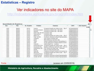 Estatísticas – Registro
Ver indicadores no site do MAPA
http://indicadores.agricultura.gov.br/agrofit/index.htm
Fonte: http://indicadores.agricultura.gov.br/agrofit/index.htm (acesso em 23/05/2019)
 