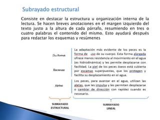 Subrayado estructural
Consiste en destacar la estructura u organización interna de la
lectura. Se hacen breves anotaciones en el margen izquierdo del
texto justo a la altura de cada párrafo, resumiendo en tres o
cuatro palabras el contenido del mismo. Esto ayudará después
para redactar los esquemas y resúmenes
 