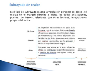Subrayado de realce
Este tipo de subrayado resalta la valoración personal del texto , se
realiza en el margen derecho e indica las dudas aclaraciones,
puntos de interés, relaciones con otras lecturas, integraciones
propias del lector
 