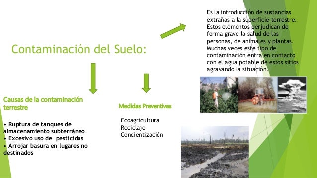 Mapa Conceptual El Suelo Pdf Suelo Contaminacion Howtodoes – eroppa