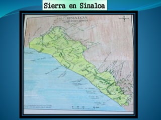 Sierra en Sinaloa
 