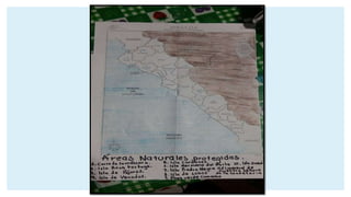 Mapas