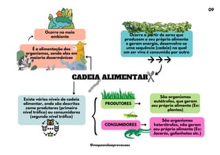 CADEIA ALIMENTAR
Ocorre a partir de seres que
produzem o seu próprio alimento
e geram energia, desenvolve-se
uma sequência (cadeia) na qual
um ser vivo é consumido por outro
É a alimentação dos
organismos, sendo elas em
maioria desarmônicas
Ocorre no meio
ambiente
São organismos
autótrofos, que geram
seu próprio alimento (Ex:
plantas)
Existe vários níveis da cadeia
alimentar, onde são descritos
como produtores (primeiro
nível trófico) ou consumidores
(segundo nível trófico)
PRODUTORES
CONSUMIDORES
São organismos
heterótrofos, não geram
seu próprio alimento (Ex:
Jacarés, gafanhotos etc.)
09
@mapeandoaprovacoes
 