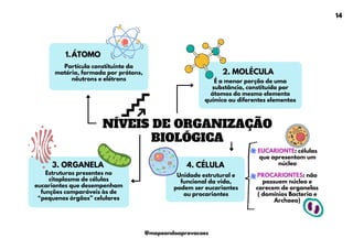 NÍVEIS DE ORGANIZAÇÃO
BIOLÓGICA
PROCARIONTES: não
possuem núcleo e
carecem de organelas
( domínios Bacteria e
Archaea)
Partícula constituinte da
matéria, formada por prótons,
nêutrons e elétrons
ÁTOMO
1.
É a menor porção de uma
substância, constituída por
átomos do mesmo elemento
químico ou diferentes elementos
2. MOLÉCULA
3. ORGANELA
Estruturas presentes no
citoplasma de células
eucariontes que desempenham
funções comparáveis às de
“pequenos órgãos” celulares
4. CÉLULA
Unidade estrutural e
funcional da vida,
podem ser eucariontes
ou procariontes
EUCARIONTE: células
que apresentam um
núcleo
14
@mapeandoaprovacoes
 