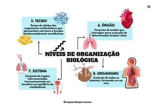 NÍVEIS DE ORGANIZAÇÃO
BIOLÓGICA
Grupo de células dos
organismos multicelulares que
apresentam estrutura e funções
fundamentalmente semelhantes
5. TECIDO
Conjunto de tecidos que
interagem para execução de
determinadas funções vitais
6. ÓRGÃO
7. SISTEMA
Conjunto de órgãos
interconectados
harmonicamente em
benefício ao equilíbrio do
metabolismo
8. ORGANISMO
Conjunto de todos os
sistemas, formando um ser
vivo
15
@mapeandoaprovacoes
 