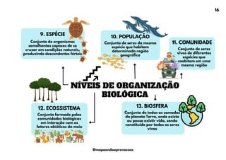 NÍVEIS DE ORGANIZAÇÃO
BIOLÓGICA
Conjunto de organismos
semelhantes capazes de se
cruzar em condições naturais,
produzindo descendentes férteis
9. ESPÉCIE
Conjunto de seres da mesma
espécie que habitam
determinada região
geográfica
10. POPULAÇÃO
Conjunto formado pelas
comunidades biológicas
em interação com os
fatores abióticos do meio
13. BIOSFERA
Conjunto de todas as camadas
do planeta Terra, onde exista
ou possa existir vida, sendo
constituída por todos os seres
vivos
11. COMUNIDADE
Conjunto de seres
vivos de diferentes
espécies que
coabitam em uma
mesma região
12. ECOSSISTEMA
16
@mapeandoaprovacoes
 
