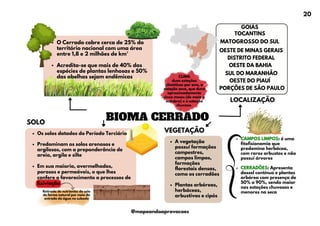 BIOMA CERRADO
O Cerrado cobre cerca de 25% do
território nacional com uma área
entre 1,8 e 2 milhões de km²
Acredita-se que mais de 40% das
espécies de plantas lenhosas e 50%
das abelhas sejam endêmicas
A vegetação
possuí formações
campestres,
campos limpos,
formações
florestais densas,
como os cerradões
Plantas arbóreas,
herbáceas,
arbustivas e cipós
SOLO
Os solos datados do Período Terciário
Predominam os solos arenosos e
argilosos, com a preponderância de
areia, argila e silte
Em sua maioria, avermelhados,
porosos e permeáveis, o que lhes
confere o favorecimento a processos de
lixiviação
VEGETAÇÃO
LOCALIZAÇÃO
GOIÁS
TOCANTINS
MATOGROSSO DO SUL
OESTE DE MINAS GERAIS
DISTRITO FEDERAL
OESTE DA BAHIA
SUL DO MARANHÃO
OESTE DO PIAUÍ
PORÇÕES DE SÃO PAULO
CLIMA
duas estações
climáticas por ano, a
estação seca, que dura
aproximadamente
cinco meses (de maio a
outubro) e a estação
chuvosa.
CAMPOS LIMPOS: é uma
fitofisionomia que
predomina herbácea,
com raros arbustos e não
possuí árvores
CERRADÕES: Apresenta
dossel contínuo e plantas
arbórea com presença de
50% a 90%, sendo maior
nas estações chuvosas e
menores na seca
Retirada de nutrientes do solo
de forma natural por meio da
entrada da água no subsolo
20
@mapeandoaprovacoes
 
