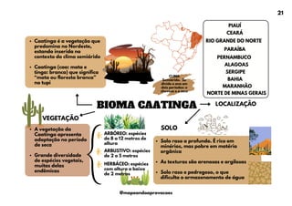 BIOMA CAATINGA
Caatinga é a vegetação que
predomina no Nordeste,
estando inserida no
contexto do clima semiárido
Caatinga (caa: mata e
tinga: branca) que significa
“mata ou floresta branca”
no tupi
Solo raso a profundo. É rico em
minérios, mas pobre em matéria
orgânica
As texturas são arenosas e argilosas
Solo raso e pedregoso, o que
dificulta o armazenamento de água
VEGETAÇÃO
A vegetação da
Caatinga apresenta
adaptação no período
de seca
Grande diversidade
de espécies vegetais,
muitas delas
endêmicas
SOLO
LOCALIZAÇÃO
PIAUÍ
CEARÁ
RIO GRANDE DO NORTE
PARAÍBA
PERNAMBUCO
ALAGOAS
SERGIPE
BAHIA
MARANHÃO
NORTE DE MINAS GERAIS
CLIMA
Semiárido. Se
divide o ano em
dois períodos: o
chuvoso e o seco
ARBÓREO: espécies
de 8 a 12 metros de
altura
ARBUSTIVO: espécies
de 2 a 5 metros
HERBÁCEO: espécies
com altura a baixo
de 2 metros
21
@mapeandoaprovacoes
 