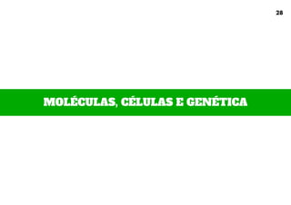 MOLÉCULAS, CÉLULAS E GENÉTICA
28
 