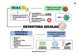 PROCARIONTES: não
apresentam organelas
membranosas
ESTRUTURA CELULAR
Unidade estrutural e
funcional dos seres
vivos
Membrana
Núcleo
Complexo de Golgi
Mitocôndria
Citoplasma
Lisossomos
Reticulo endoplasmático liso e
rugoso
CÉLULA
ESTRUTURA E
ORGANELAS
Todos os seres vivos
possuem, exceto:
VÍRUS
MEMBRANA
PLASMÁTICA
Característica que todas
as células eucariontes
possuem
CITOPLASMA
MATERIAL
GENÉTICO
EUCARIONTES:
apresentam material
genético
29
@mapeandoaprovacoes
 
