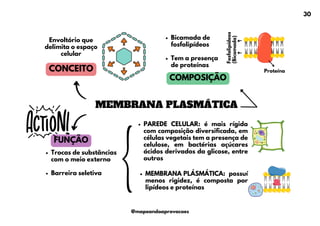 MEMBRANA PLASMÁTICA
Bicamada de
fosfolipídeos
Tem a presença
de proteínas
Trocas de substâncias
com o meio externo
Barreira seletiva
CONCEITO
COMPOSIÇÃO
FUNÇÃO
Envoltório que
delimita o espaço
celular
PAREDE CELULAR: é mais rígida
com composição diversificada, em
células vegetais tem a presença de
celulose, em bactérias açúcares
ácidos derivados da glicose, entre
outros
MEMBRANA PLÁSMÁTICA: possuí
menos rigidez, é composta por
lipídeos e proteínas
Proteína
Fosfolipídeos
(Bicamada)
30
@mapeandoaprovacoes
 
