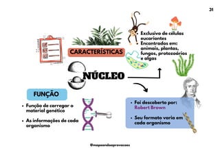 NÚCLEO
CARACTERÍSTICAS
Exclusivo de células
eucariontes
Encontrados em:
animais, plantas,
fungos, protozoários
e algas
Função de carregar o
material genético
As informações de cada
organismo
Foi descoberto por:
Robert Brown
Seu formato varia em
cada organismo
FUNÇÃO
31
@mapeandoaprovacoes
 