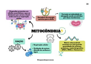 MITOCÔNDRIA
Organelas presentes em
células eucarióticas e que se
destacam por serem o local
onde ocorre a respiração
celular
Geradora de energia
química para célula
Formato arredondado ou
alongado sendo envolvidos
por duas membranas
FUNÇÃO
Respiração celular
Oxidação de açúcar,
dióxido de carbono e
água
Matriz mitocondrial:
encontra-se uma grande
quantidade de enzimas,
proteínas, material genético
(DNA e RNA) e ribossomos
33
@mapeandoaprovacoes
 