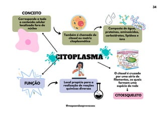 CITOESQUELETO
CITOPLASMA
Corresponde a todo
o conteúdo celular
localizado fora do
núcleo
Também é chamado de
citosol ou matriz
citoplasmática
Composta de água,
proteínas, aminoácidos,
carboidratos, lipídeos e
íons
O citosol é cruzado
por uma série de
filamentos, os quais
formam uma
espécie de rede
FUNÇÃO Local propício para a
realização de reações
químicas diversas
CONCEITO
34
@mapeandoaprovacoes
 