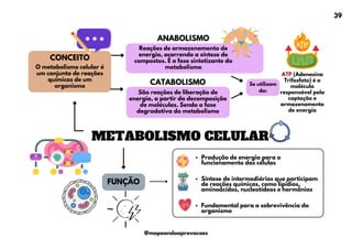 METABOLISMO CELULAR
ANABOLISMO
CONCEITO
CATABOLISMO
FUNÇÃO
Produção de energia para o
funcionamento das células
Síntese de intermediários que participam
de reações químicas, como lipídios,
aminoácidos, nucleotídeos e hormônios
Fundamental para a sobrevivência do
organismo
O metabolismo celular é
um conjunto de reações
químicas de um
organismo
Reações de armazenamento de
energia, ocorrendo a síntese de
compostos. É a fase sintetizante do
metabolismo
São reações de liberação de
energia, a partir da decomposição
de moléculas. Sendo a fase
degradativa do metabolismo
ATP (Adenosina
Trifosfato) é a
molécula
responsável pela
captação e
armazenamento
de energia
Se utilizam
da:
39
@mapeandoaprovacoes
 
