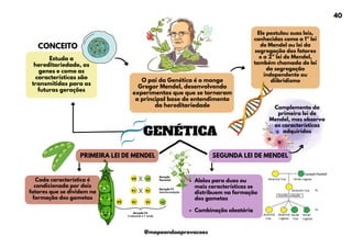 GENÉTICA
SEGUNDA LEI DE MENDEL
CONCEITO
Estuda a
hereditariedade, os
genes e como as
características são
transmitidas para as
futuras gerações
O pai da Genética é o monge
Gregor Mendel, desenvolvendo
experimentos que que se tornaram
a principal base de entendimento
da hereditariedade
Ele postulou suas leis,
conhecidas como a 1ª lei
de Mendel ou lei da
segregação dos fatores
e a 2ª lei de Mendel,
também chamada de lei
da segregação
independente ou
diibridismo
PRIMEIRA LEI DE MENDEL
Cada característica é
condicionada por dois
fatores que se dividem na
formação dos gametas
Alelos para duas ou
mais características se
distribuem na formação
dos gametas
Combinação aleatória
Complemento da
primeira lei de
Mendel, mas observa
as características
adquiridas
40
@mapeandoaprovacoes
 