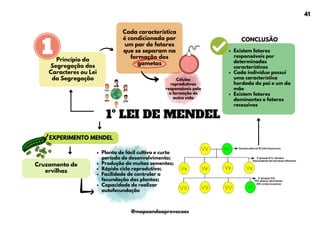 1º LEI DE MENDEL
Princípio da
Segregação dos
Caracteres ou Lei
da Segregação
Cada característica
é condicionada por
um par de fatores
que se separam na
formação dos
gametas
EXPERIMENTO MENDEL
Cruzamento de
ervilhas
Células
reprodutivas
responsáveis pela
a formação de
outra vida
Planta de fácil cultivo e curto
período de desenvolvimento;
Produção de muitas sementes;
Rápido ciclo reprodutivo;
Facilidade de controlar a
fecundação das plantas;
Capacidade de realizar
autofecundação
Existem fatores
responsáveis por
determinadas
características
Cada indivíduo possui
uma característica
herdada do pai e um da
mãe
Existem fatores
dominantes e fatores
recessivos
CONCLUSÃO
41
@mapeandoaprovacoes
 