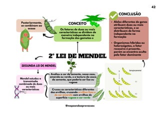 2º LEI DE MENDEL
CONCEITO
Os fatores de duas ou mais
características se dividem de
maneira independente na
formação dos gametas e
SEGUNDA LEI DE MENDEL
Mendel estudou a
transmissão
combinada de duas
ou mais
características
Alelos diferentes de genes
atribuem duas ou mais
características, e se
distribuem de forma
independente na
formação
Organismos híbridos ou
heterozigotos, o fator
recessivo é presente,
porém se encontra oculto
pelo fator dominante
Posteriormente,
se combinam ao
acaso
Avaliou a cor da semente, nesse caso,
amarela ou verde, e a textura da casca
da semente, que poderia ser lisa ou
rugosa
Cruzou as características diferentes
das ervilhas, cruzando ervilhas lisas e
de cor amarela com ervilhas de
superfície rugosa e cor verde
CONCLUSÃO
42
@mapeandoaprovacoes
 