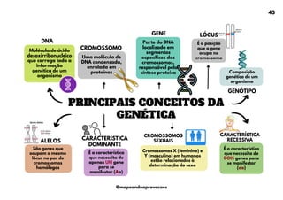 PRINCIPAIS CONCEITOS DA
GENÉTICA
CARACTERÍSTICA
RECESSIVA
GENÓTIPO
DNA
Molécula de ácido
desoxirribonucleico
que carrega toda a
informação
genética de um
organismo
Uma molécula de
DNA condensada,
enrolada em
proteínas
Parte do DNA
localizado em
segmentos
específicos dos
cromossomos,
responsável pela
síntese proteica
São genes que
ocupam o mesmo
lócus no par de
cromossomos
homólogos
É a característica
que necessita de
apenas UM gene
para se
manifestar (Aa)
CROMOSSOMO
GENE
É a posição
que o gene
ocupa no
cromossomo
Composição
genética de um
organismo
LÓCUS
ALELOS
CARACTERÍSTICA
DOMINANTE
É a característica
que necessita de
DOIS genes para
se manifestar
(aa)
CROMOSSOMOS
SEXUAIS
Cromossomos X (feminino) e
Y (masculino) em humanos
estão relacionados à
determinação do sexo
43
@mapeandoaprovacoes
 