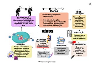 VÍRUS
Possuem 6 etapas de
reprodução
São elas: Adsorção,
penetração, desnudamento,
síntese viral, montagem e
maturação e liberação
MOTAGEM E
MATURAÇÃO
Ocorre a
formação do
nucleocapsídeo
O vírus é liberado da
célula. Esse processo
pode ocorrer pelo
rompimento da célula
hospedeira ou então
pelo processo de
brotamento
Vírus se liga aos
receptores
específicos
existentes na
membrana
celular da célula
hospedeira
PENETRAÇÃO
Não possuem habilidade em
se reproduzir sozinhos.
Dependem de uma célula
viva
REPRODUÇÃO
ETAPAS
ADSORÇÃO
Etapa em que o
vírus entra no
interior da célula
DESNUDAMENTO
Ocorre a
remoção do
capsídeo e o
material genético
do vírus é
exposto
SÍNTESE VIRAL
Formação de
proteínas
estruturais e não
estruturais
Estrutura do vírus
que contem o
capsídeo e o genoma
do vírus
LIBERAÇÃO
49
@mapeandoaprovacoes
 