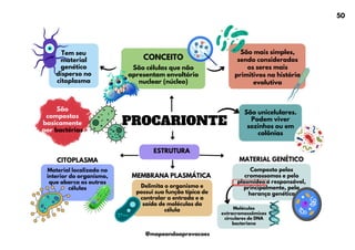 PROCARIONTE
Composto pelos
cromossomos e pelo
plasmídeo é responsável,
principalmente, pela
herança genética
Delimita o organismo e
possui sua função típica de
controlar a entrada e a
saída de moléculas da
célula
Tem seu
material
genético
disperso no
citoplasma
São mais simples,
sendo considerados
os seres mais
primitivos na história
evolutiva
São células que não
apresentam envoltório
nuclear (núcleo)
CONCEITO
São unicelulares.
Podem viver
sozinhos ou em
colônias
São
compostos
basicamente
por bactérias
ESTRUTURA
MEMBRANA PLASMÁTICA
CITOPLASMA
Material localizado no
interior do organismo,
que abarca as outras
células
MATERIAL GENÉTICO
Moléculas
extracromossômicas
circulares de DNA
bacteriano
50
@mapeandoaprovacoes
 