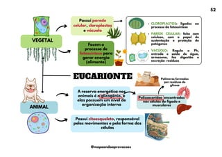 Possui parede
celular, cloroplastos
e vácuolo
A reserva energética nos
animais é o glicogênio, e
elas possuem um nível de
organização interna
Polissacarídeo encontrados
nas células do fígado e
musculares
EUCARIONTE
VEGETAL
ANIMAL
Fazem o
processo de
fotossíntese para
gerar energia
(alimento)
CLOROPLASTOS: ligados ao
processo da fotossíntese
PAREDE CELULAR: feito com
celulose, com o papel de
sustentação e proteção de
patógenos
VACÚOLO: Regula o Ph,
entrada e saída de água,
armazena, faz digestão e
excreção resíduos
Possui citoesqueleto, responsável
pelos movimentos e pela forma das
células
Polímeros formados
por resíduos de
glicose
52
@mapeandoaprovacoes
 