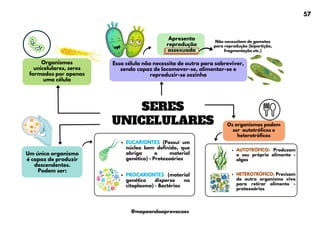 EUCARIONTES (Possui um
núcleo bem definido, que
abriga o material
genético) - Protozoários
PROCARIONTES (material
genético disperso no
citoplasma) - Bactérias
SERES
UNICELULARES
Apresenta
reprodução
assexuada
AUTOTRÓFICO: Produzem
o seu próprio alimento -
algas
HETEROTRÓFICO: Precisam
de outro organismo vivo
para retirar alimento -
protozoários
Organismos
unicelulares, seres
formados por apenas
uma célula
Essa célula não necessita de outra para sobreviver,
sendo capaz de locomover-se, alimentar-se e
reproduzir-se sozinha
Um único organismo
é capaz de produzir
descendentes.
Podem ser:
Os organismos podem
ser autotróficos e
heterotróficos
Não necessitam de gametas
para reprodução (bipartição,
fragmentação etc.)
57
@mapeandoaprovacoes
 