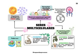 EUCARIONTES (Possui
um núcleo bem definido,
que abriga o material
genético) - Animais e
plantas
SERES
MULTICELULARES
Apresentam
reprodução
sexuada
AUTOTRÓFICO: Produzem
o seu próprio alimento -
plantas
HETEROTRÓFICO: Precisam
de outro organismo vivo
para retirar alimento -
Animais
Organismos
formados por
VÁRIAS células
Atuam em conjunto para garantir
a sobrevivência do ser vivo
Podem ser:
Os organismos podem
ser autotróficos e
heterotróficos
Precisam de gametas
para que ocorra a
reprodução.
Ex: espermatozoide e
ovário
58
@mapeandoaprovacoes
 