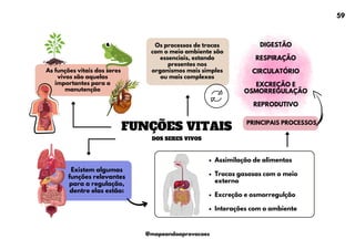 Assimilação de alimentos
Trocas gasosas com o meio
externo
Excreção e osmorregulção
Interações com o ambiente
FUNÇÕES VITAIS
DOS SERES VIVOS
As funções vitais dos seres
vivos são aquelas
importantes para a
manutenção
Os processos de trocas
com o meio ambiente são
essenciais, estando
presentes nos
organismos mais simples
ou mais complexos
Existem algumas
funções relevantes
para a regulação,
dentre elas estão:
PRINCIPAIS PROCESSOS
DIGESTÃO
RESPIRAÇÃO
CIRCULATÓRIO
EXCREÇÃO E
OSMORREGULAÇÃO
REPRODUTIVO
59
@mapeandoaprovacoes
 
