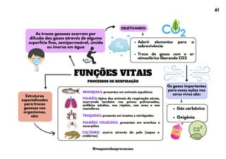 As trocas gasosas ocorrem por
difusão dos gases através de alguma
superfície fina, semipermeável, úmida
ou imersa em água
OBJETIVANDO:
Aderir elementos para a
sobrevivência
Troca de gases com o ar
atmosférico liberando CO2
Estruturas
especializadas
para trocas
gasosas nos
organismos,
são:
Os gases importantes
para essas ações nos
seres vivos são:
Gás carbônico
Oxigênio
FUNÇÕES VITAIS
PROCESSOS DE RESPIRAÇÃO
BRANQUIAS: presentes em animais aquáticos
TRAQUEIAS: presente em insetos e miriápodes
PULMÃO: típico dos animais de respiração aérea,
ocorrendo também nos peixes pulmonados,
anfíbios adultos, nos répteis, nas aves e nos
mamíferos
PULMÕES FOLIÁCEOS: presentes em aranhas e
escorpiões
CULTÂNEA: ocorre através da pele (sapos e
cnidários)
61
@mapeandoaprovacoes
 