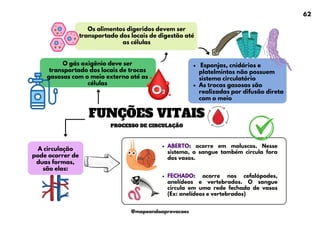 Os alimentos digeridos devem ser
transportado dos locais de digestão até
as células
O gás oxigênio deve ser
transportado dos locais de trocas
gasosas com o meio externo até as
células
Esponjas, cnidários e
platelmintos não possuem
sistema circulatório
As trocas gasosas são
realizadas por difusão direta
com o meio
A circulação
pode ocorrer de
duas formas,
são elas:
ABERTO: ocorre em moluscos. Nesse
sistema, o sangue também circula fora
dos vasos.
FECHADO: ocorre nos cefalópodes,
anelídeos e vertebrados. O sangue
circula em uma rede fechada de vasos
(Ex: anelídeos e vertebrados)
FUNÇÕES VITAIS
PROCESSO DE CIRCULAÇÃO
62
@mapeandoaprovacoes
 